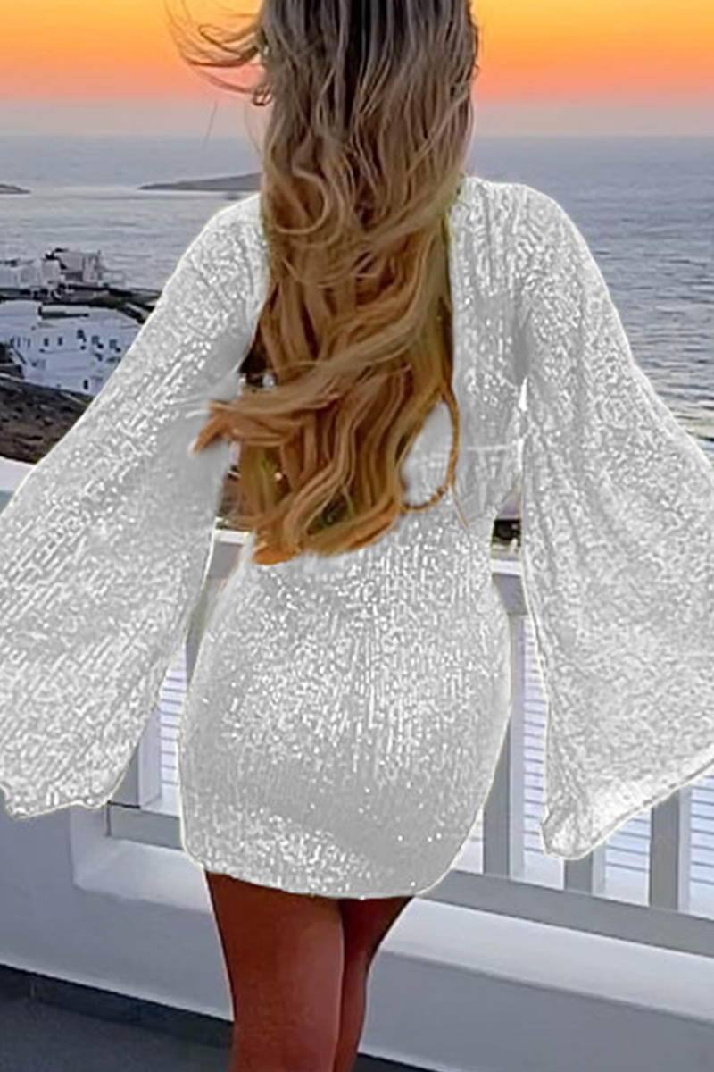 Elegant Solid Sequins O Neck Long Sleeve Dresses