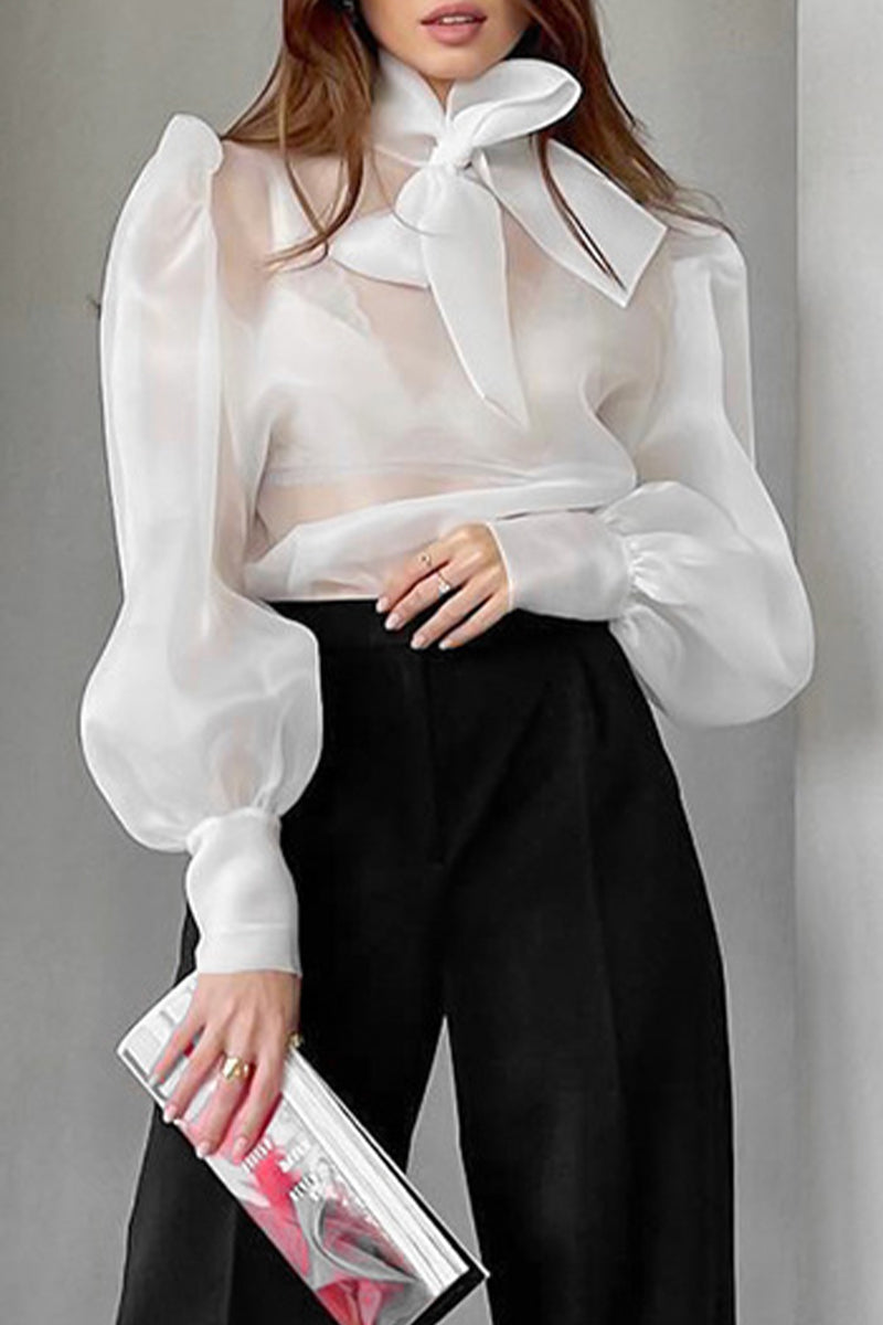 Sexy Solid See-through With Bow Half A Turtleneck Tops